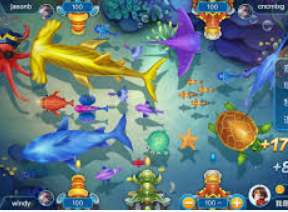 壹号.ccm下载1682024最新版